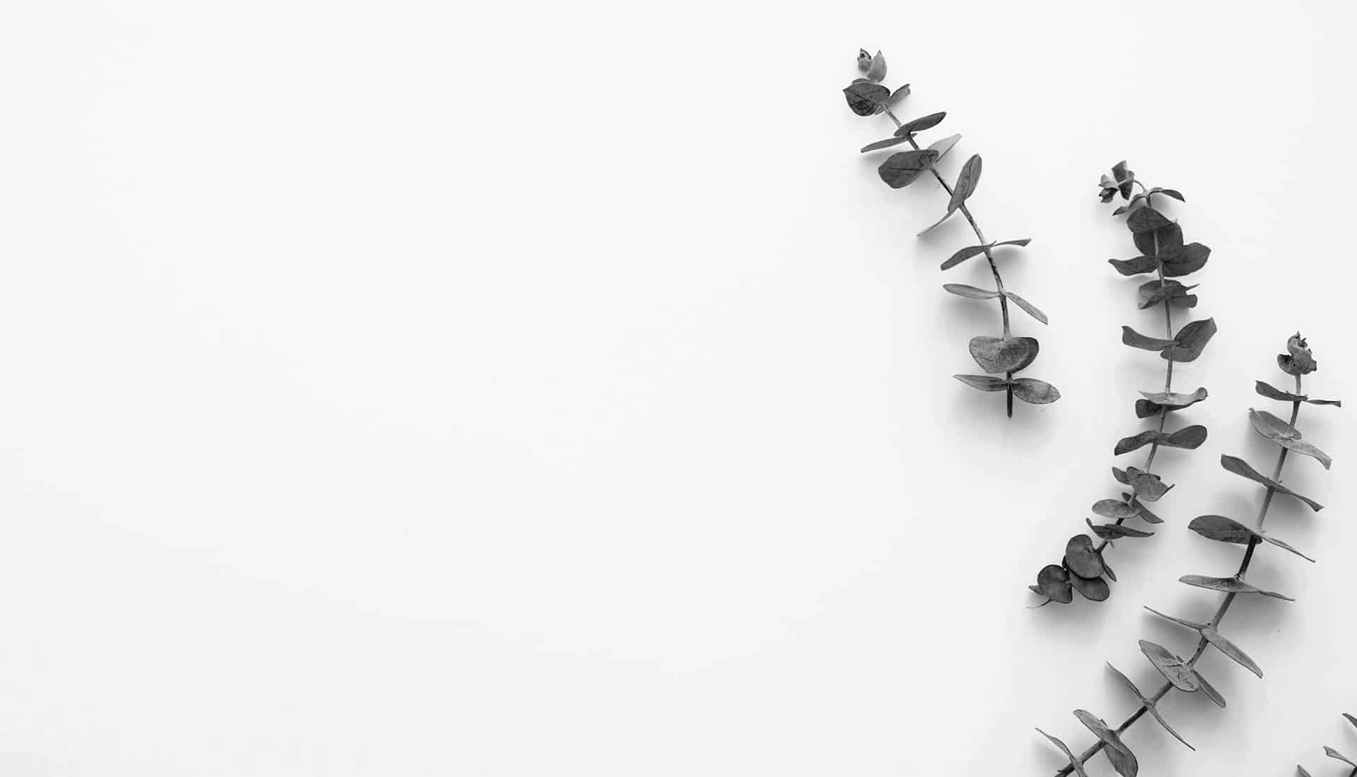 ‘재외국민 보호’ 민낯과 대개혁 방향[포럼]